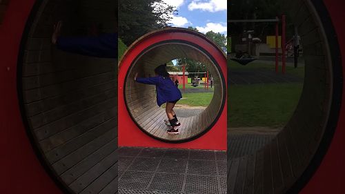 Video: Hamster Wheel