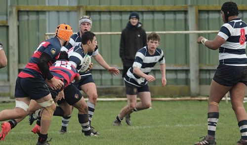 2nd XV v Hastings Boys' High School