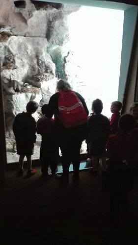 Team Awa's Visit to the Art Gallery and Museum