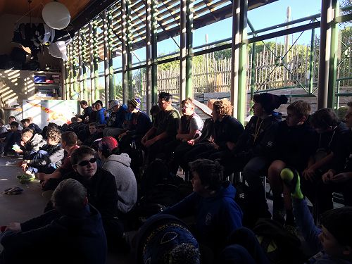 Planting for Penguins