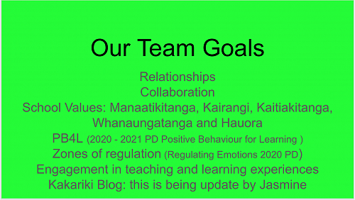 As a team we have clear goals that meet our school values of Kairangi, Kaitiakitanga, Whanaungatanga, Hauora, Manaakitanga.