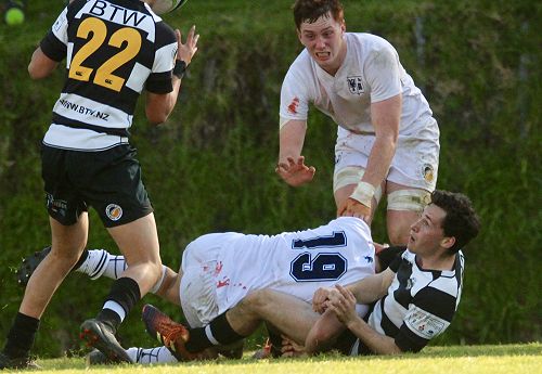 1st XV vs New Plymouth Boys' High School
