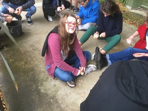 Making Stone Tools from Potatoes