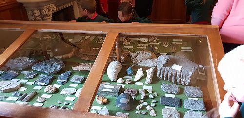 Awa's Trip to the Canterbury Museum