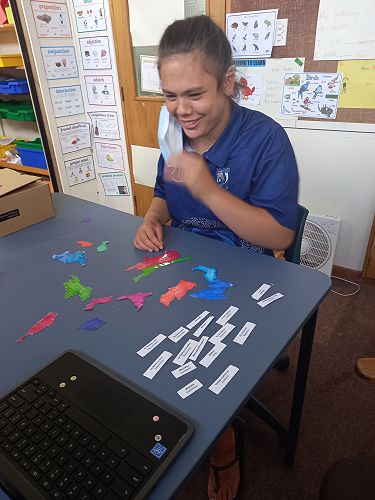 Reconstructing Map of NZ and Labelling in Te Reo, 