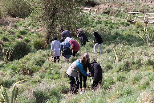 Tree Planting at Berwick
