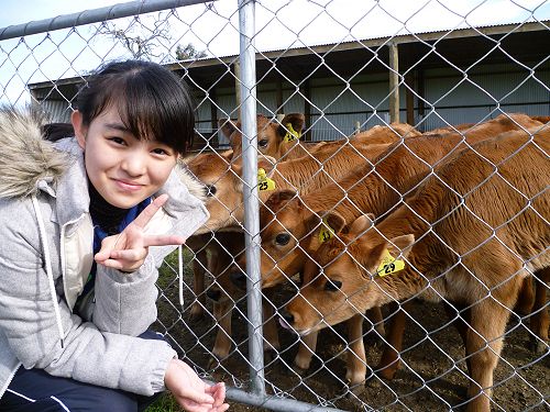 Japanese Students enjoying school life at Cobham and activities around Christchurch