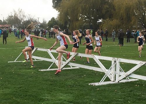 Junior Cross Country