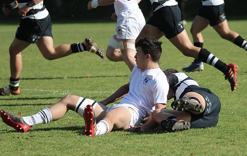 1st XV vs New Plymouth Boys' High School