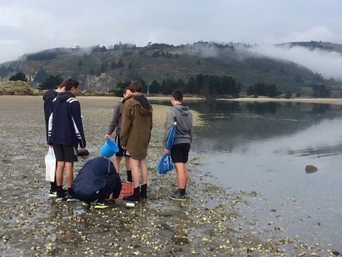 Year 12 Biology Trip To Blueskin Bay