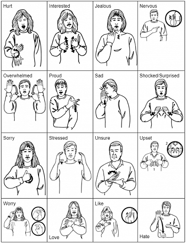 Learning New Zealand Sign Language: Questions and Emotions
