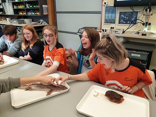 12 Biology Field trip