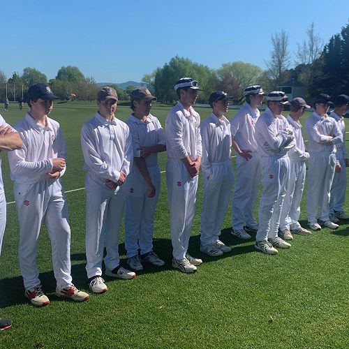 Willows cricket - 2022