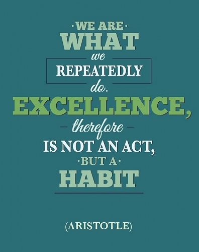 Virtue of the Week - Excellence