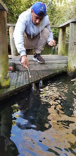 Rocky - on safari at Willowbank