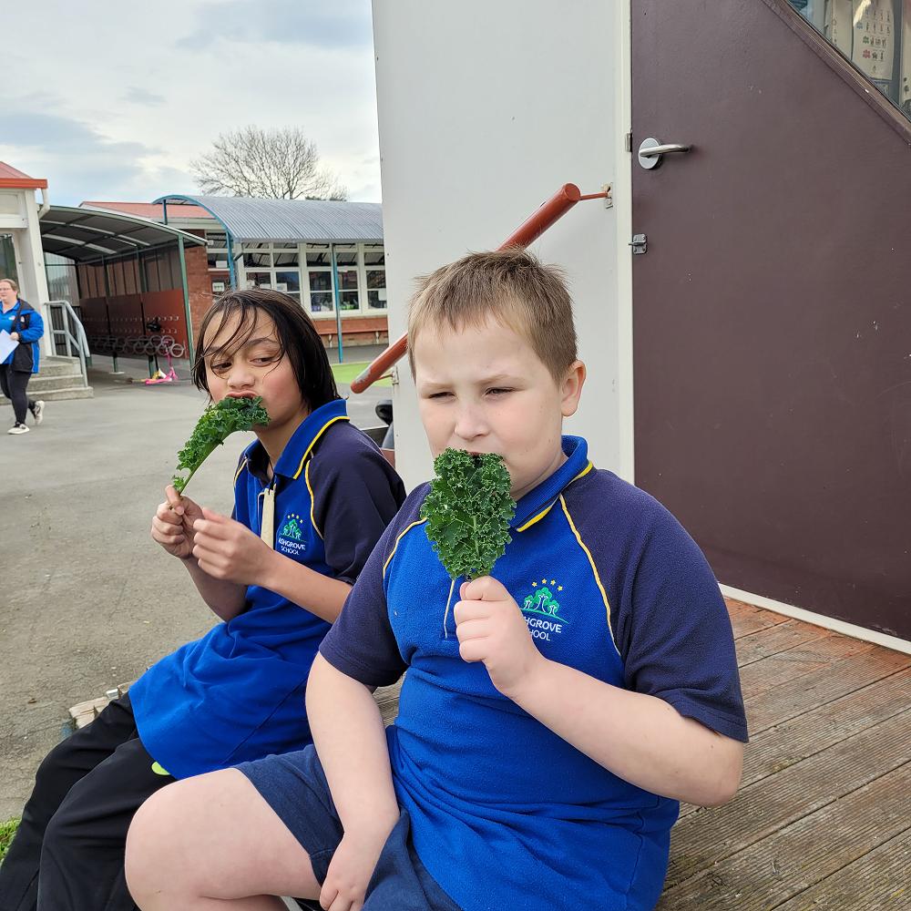 Green thumbs in Room 21 — PītauAllenvale School News Issue 4 Term 2 2022