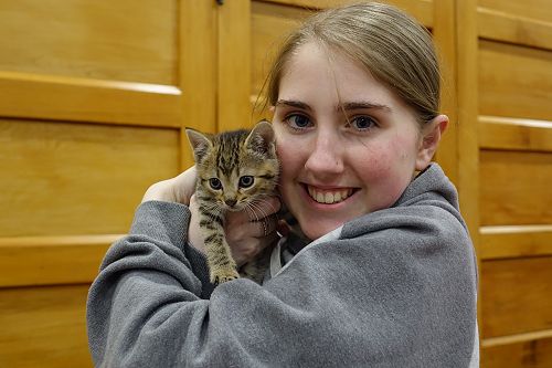 Cuddle Fix - 10 June 2018