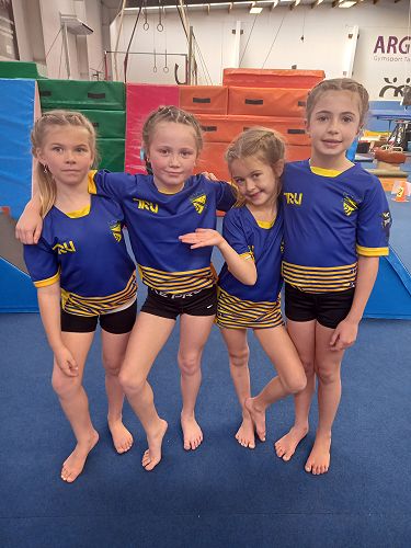 Gymnastics Competition