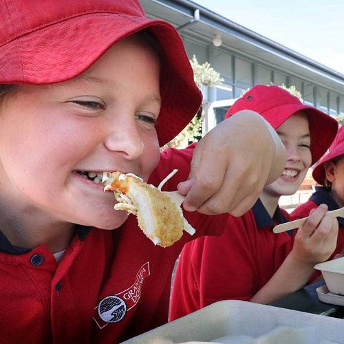 A Treasury report critical of the Ka Ora, Ka Ako healthy lunches in school programme has found as many as 10,000 lunches a day are left over. (File photo)
