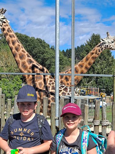 Our Waikato KIT day at the zoo was another opportunity for them to reconnect face to face! 