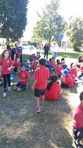 Team Harakeke's Shared Lunch