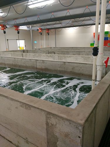 Auckland System 3 tanks are almost ready to go, increasing capacity by 50%.