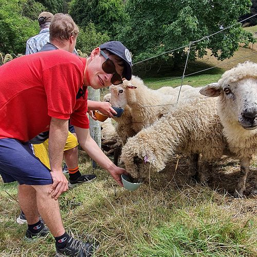 Learning and Support Class trip to Iconic Farms