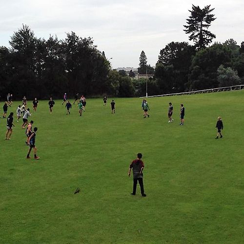 Touch Rugby at Roberts Park