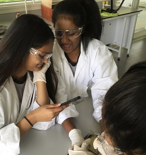 April & Fatima are a little grossed out during their dissection workshop.  