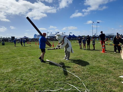 Harry gives the caber toss ago!