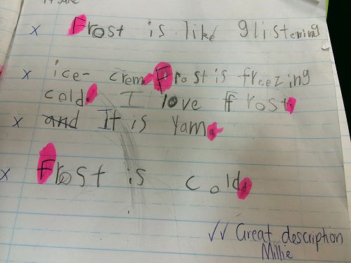 Millie's awesome writing