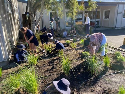 Community Planting day