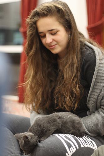 Cat Rescue Dunedin at St Margaret's College