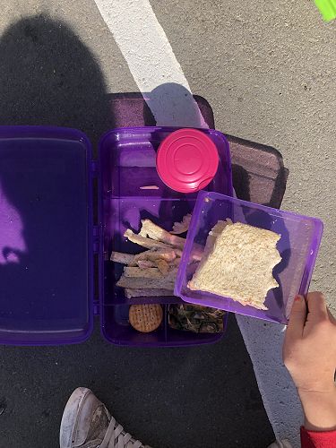 Litter Free Lunch -A