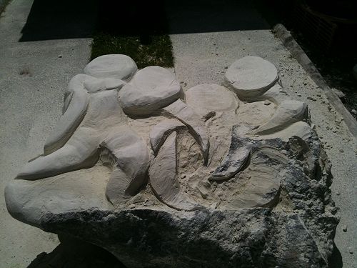 Sculpture taking shape from Mt Somers rock