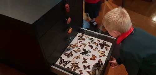 Awa's Trip to the Canterbury Museum