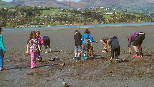 First Taumutu Tamariki Outing - Onawe Pā