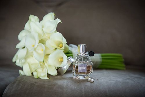 Beautiful Calla Lilies