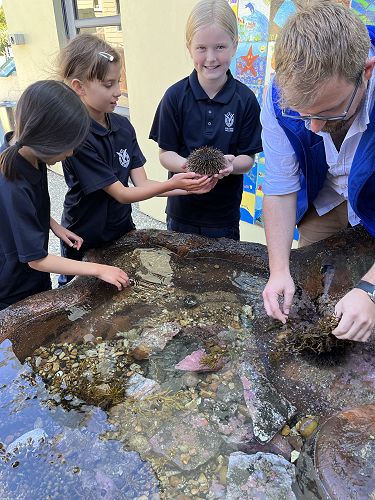 Year 5 & 6 students explore the Touch Tanks
