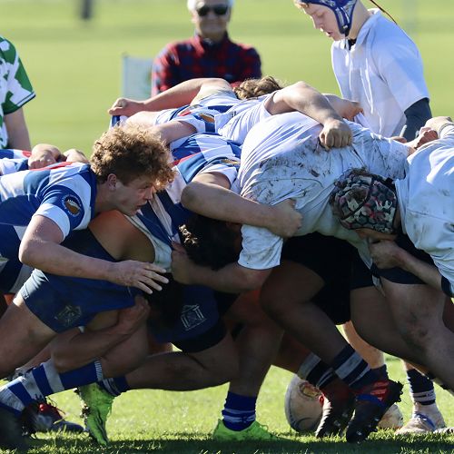 3rd XV v. Napier Boys' High School
