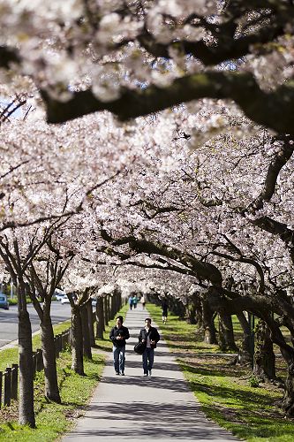 Breathtaking Hagley Park 