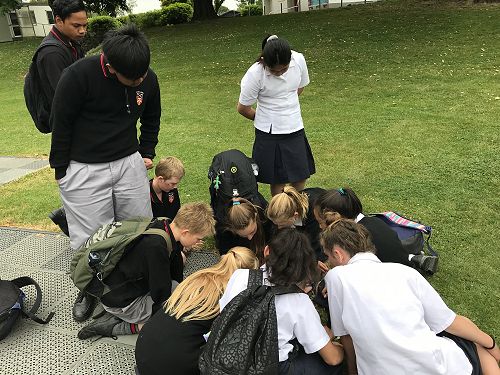 MacDonald Inter House Challenge