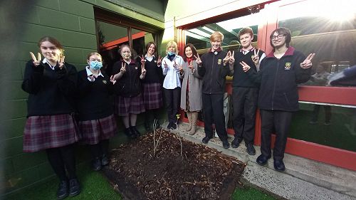 The National Flower of South Korea - Mugunghwa