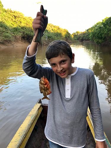 Last catch of the day — another red-bellied piranha