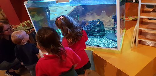 Awa's Trip to the Canterbury Museum