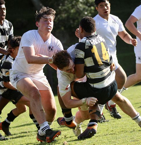 1st XV vs New Plymouth Boys' High School