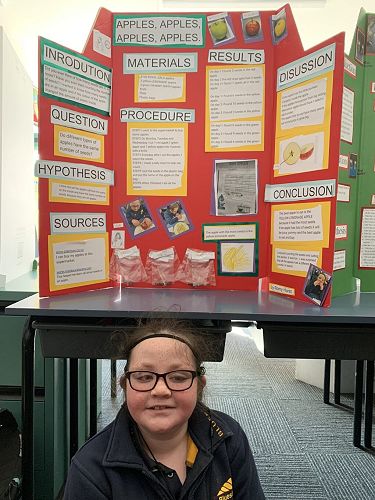 Romy's Science Project Term 3