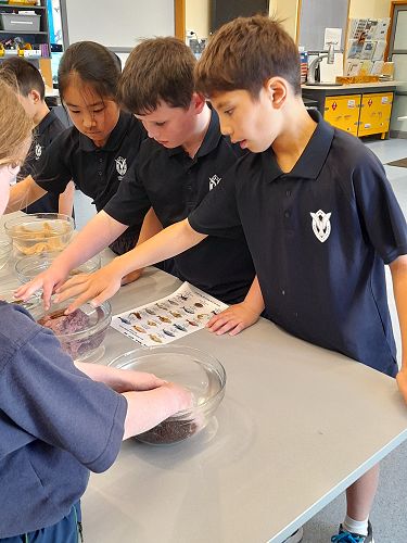 Year 5 & 6 students at the Marine Centre