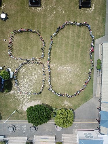 Celebrating our 80th Jubilee