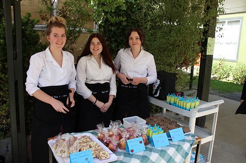 Outdoor Music Concert and Market Stalls